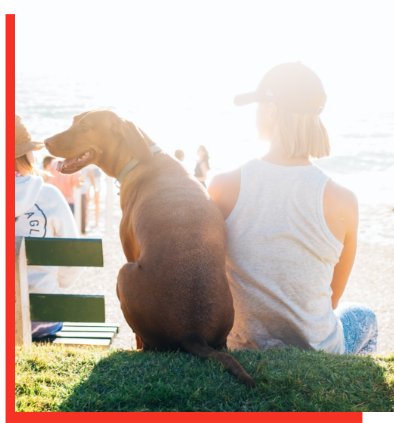 A partir de R$ 19,90 por mês